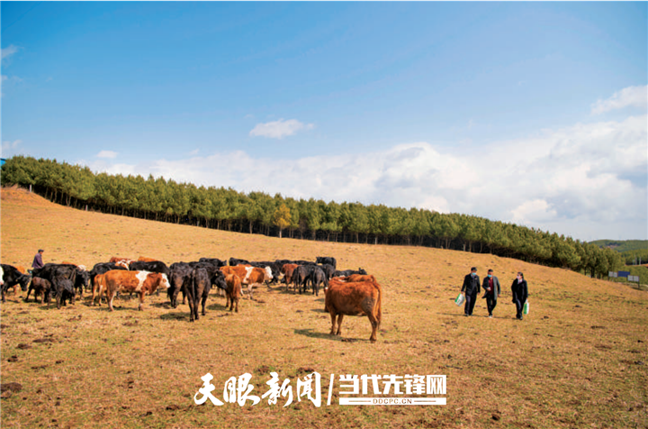 贵州省农村信用社：服务“三农”为乡村振兴贡献力量